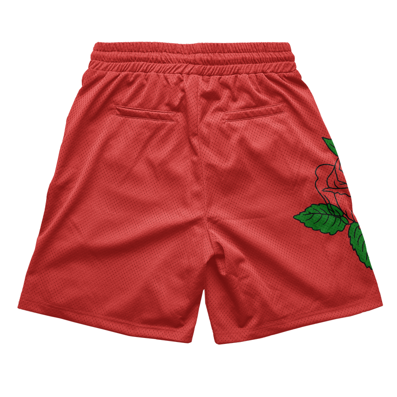 OG Virality Mesh Shorts - Cherry